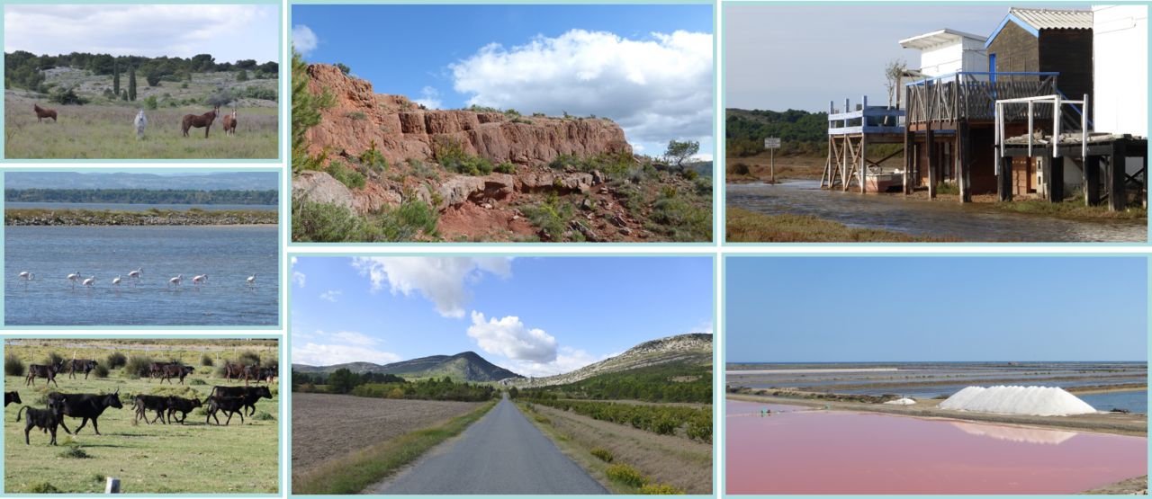 Séjour linguistique dans les paysages sauvages du Languedoc