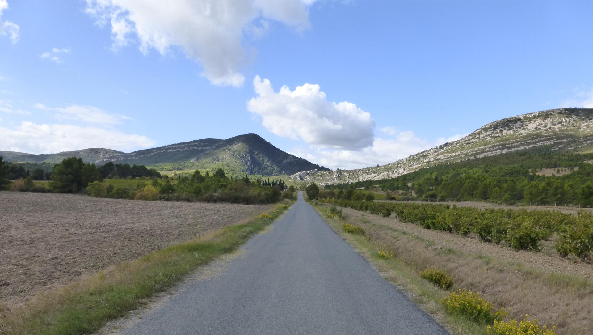 Country road between vineyards and hills in the Corbières, Languedoc