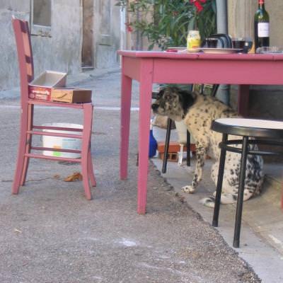 Vivre la douceur de vivre en France et apprendre le français