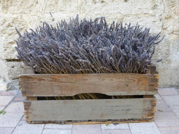 Découvrez les produits locaux du sud en suivant un cours de français