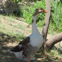 Walk, cycle and enjoy the rural France