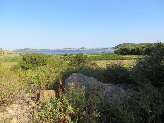 Cours de français et dégustation de vin méditerranéen