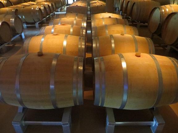 Immersion en français et visite des caves dans le Languedoc