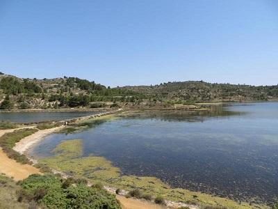 French immersion in south of france