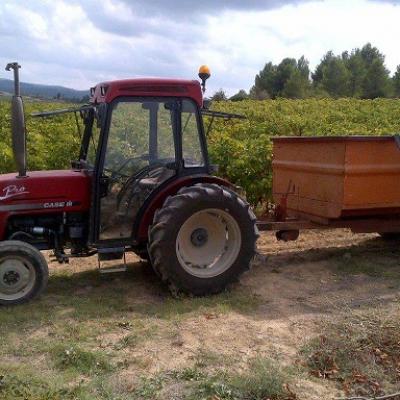 Aprende francés y disfruta de un tour de vinos