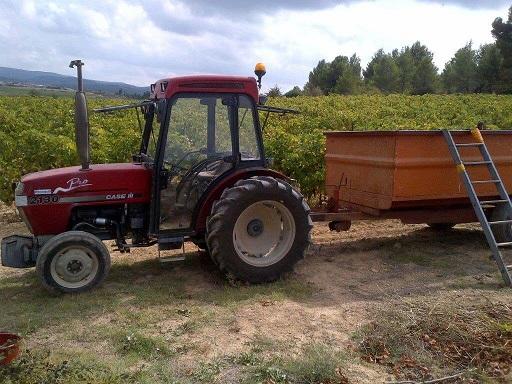 Apprendre le français et le vin français dans le Languedoc