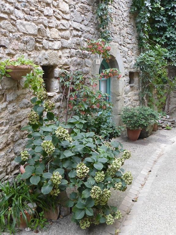 French language courses and minervois visits