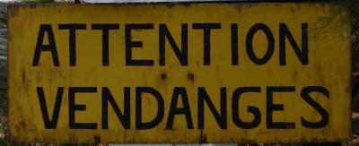 French language courses and wine in Languedoc