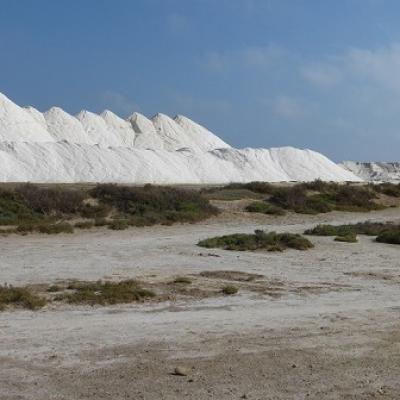 Learn French and discover salt harvest in Gruissan