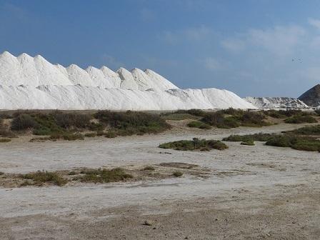 Aprende francés y descubre la cosecha de sal en Gruissan