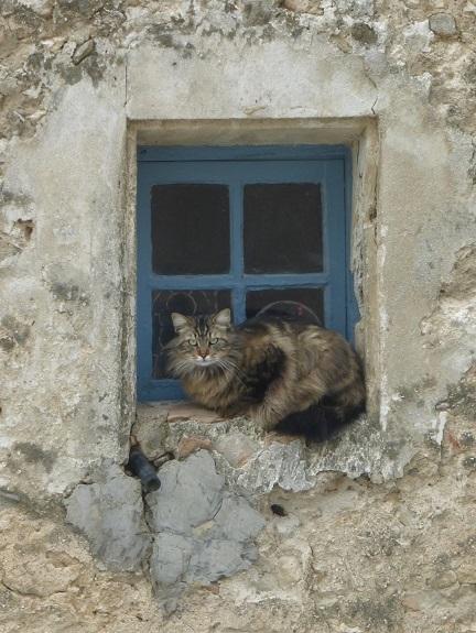 Homestay for well-being during your French courses