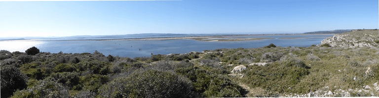 The Antic gulf in Narbonne's Natural Park