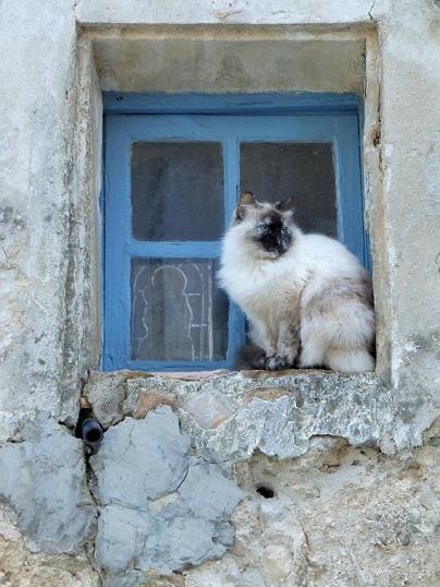 French tuition accommodation