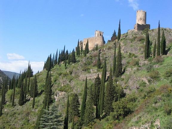 Immersion avec votre professeur de français en pays cathare