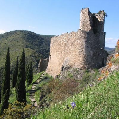 Curso de francés y cultura en la naturaleza en Carcasona