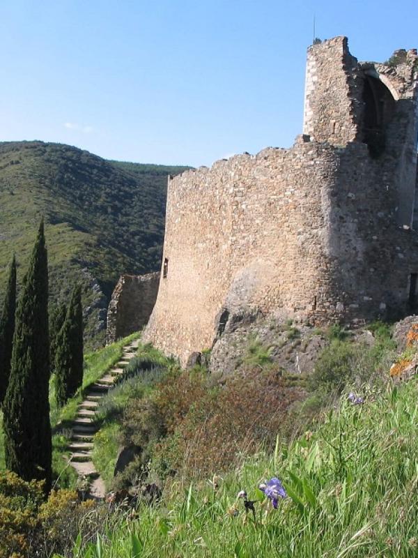 Cours de français en France et découverte de la nature