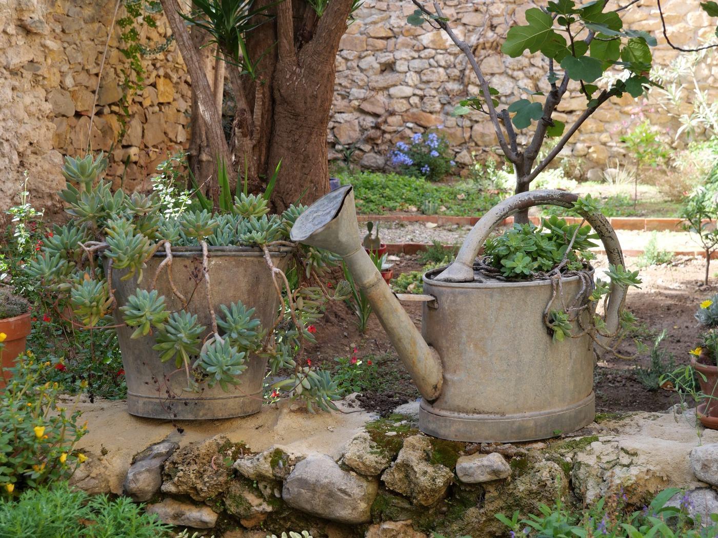 Jardín con un cubo y una regadera de zinc plantados con suculentas