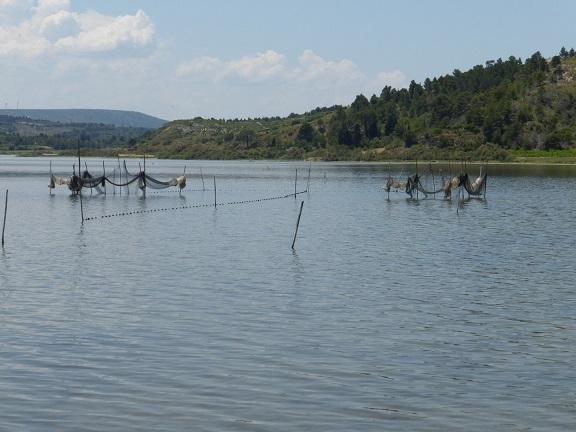Hike close to the mediterranean and learn french