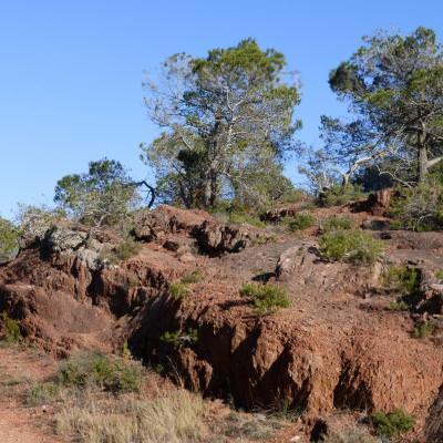 Learn French and hike in the wonderful Corbières' landscapes