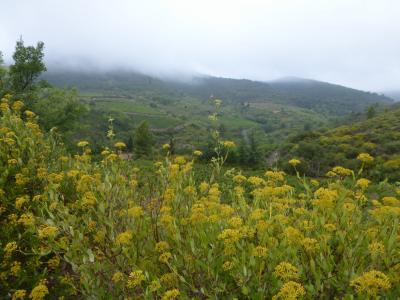 Apprendre le français et découvrir la nature