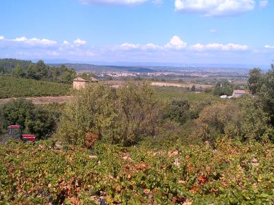 Apprendre le français et découvrir les vignobles