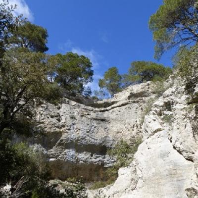 Faire de la randonnée dans le parc de Narbonne et apprendre le français