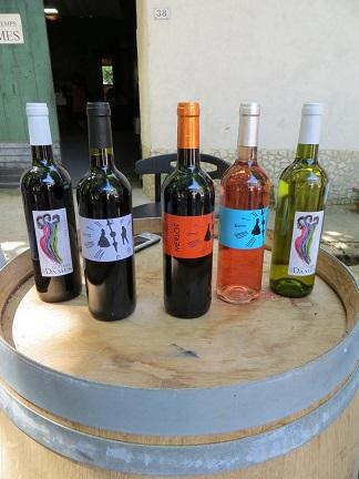 Learn french and taste wine