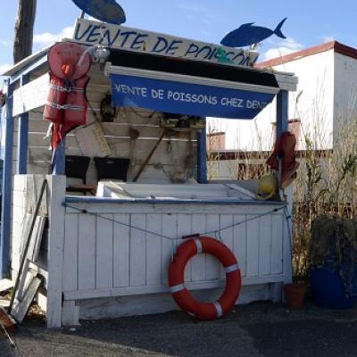 Descubre el pueblo de pescadores del sur de Francia con tu profesor de francés