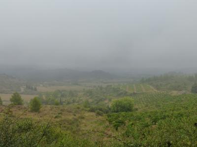 parler français et marcher dans les vignes