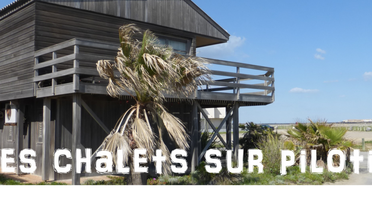 Improve your French while reading article about Gruissan