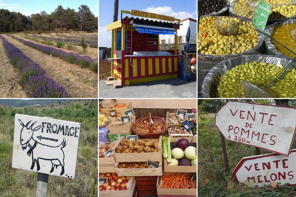 Local produce in the South of France: lavender field, fish stall, olives, vegetable market and hand-painted roadside signs for goat’s cheese, apples and melons