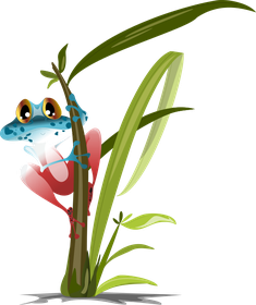 Naturellement Français logo: a blue frog with golden eyes clinging to a green plant stem