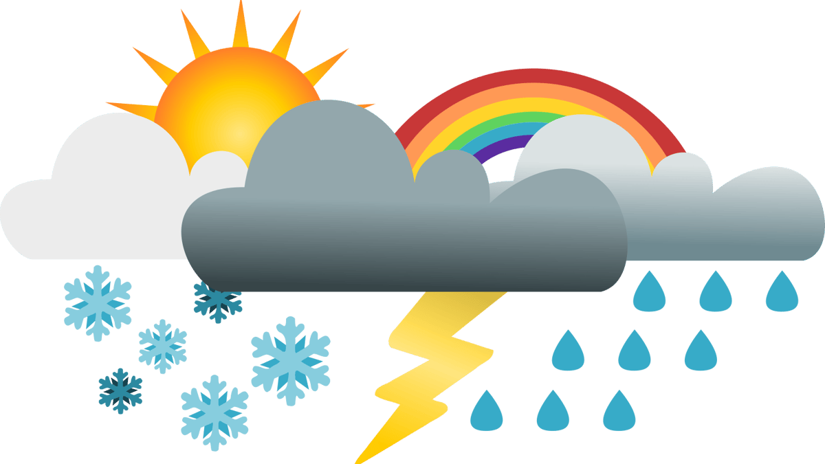 Forecast