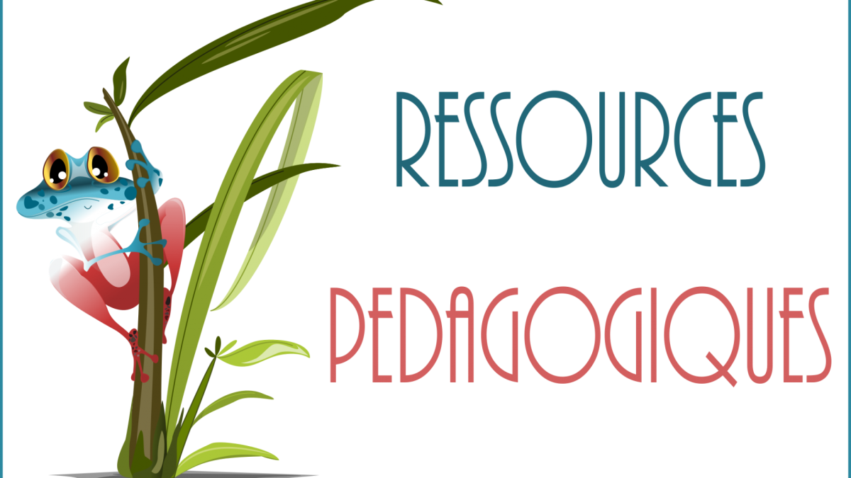 Apprendre le français avec internet