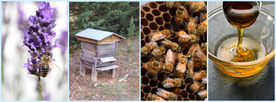 Apicultores en Corbières