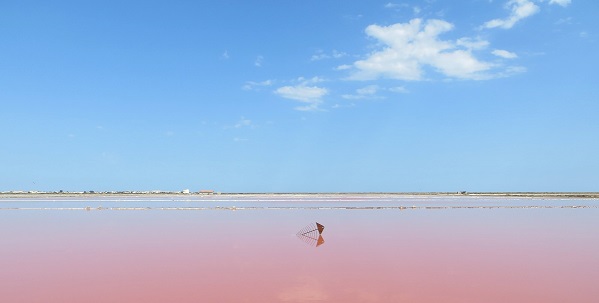 The pink saline of the Mediterranean Sea