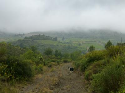 Apprendre le français et découvrir les vignobles