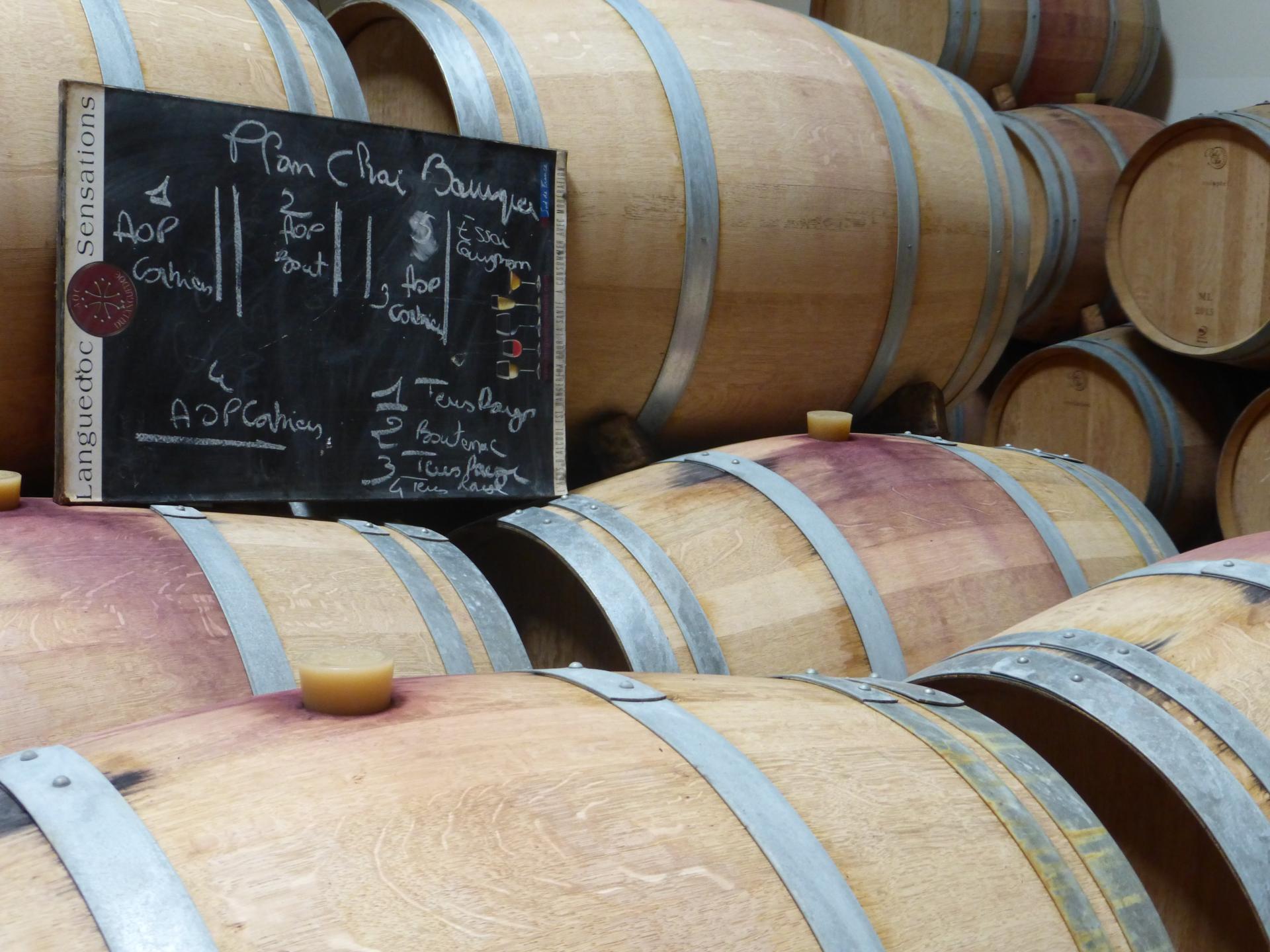 Oak barrels and cellar-plan chalkboard in a Corbières winery